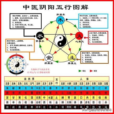 學 五行|中醫基礎/五行學說